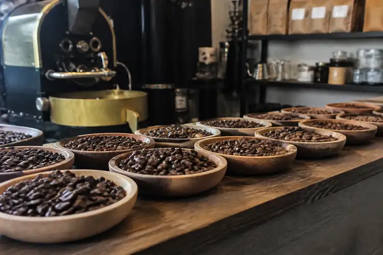 De Juiste Koffiebonen voor Functionele Koffie (32 artikelen)